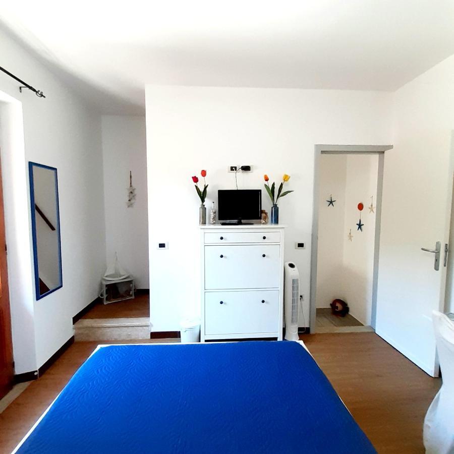 Alley 8 Scilla Luaran gambar